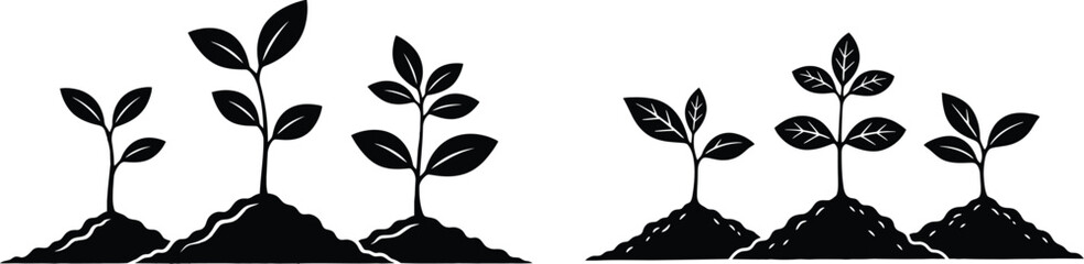 Plant sprout in soil for agriculture and growing nature © Hafsa