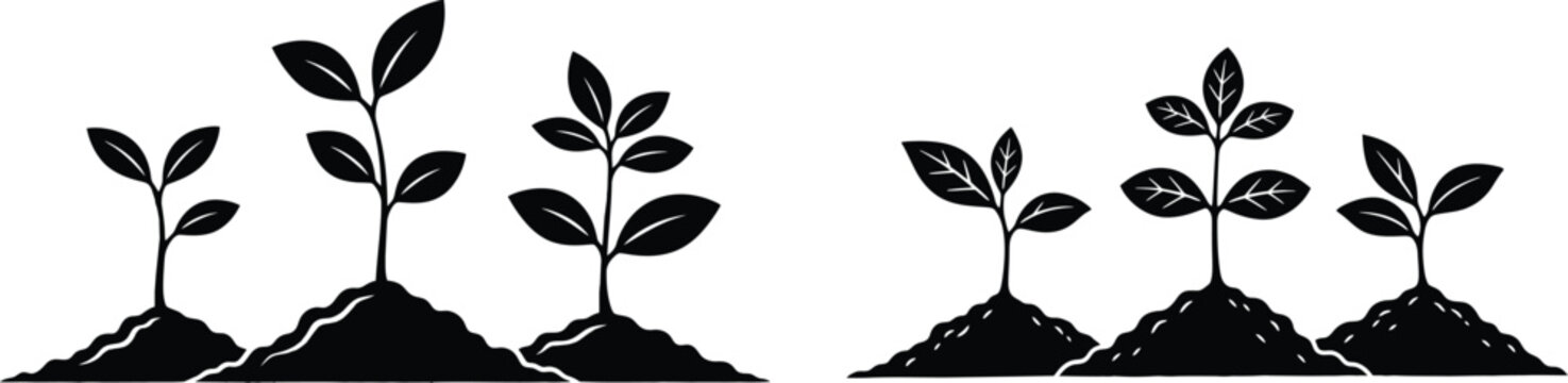 Plant sprout in soil for agriculture and growing nature