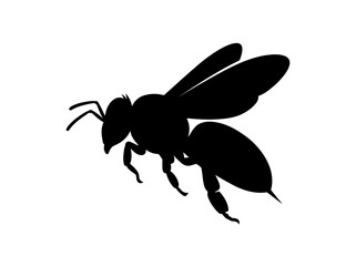 Fototapeta premium Bee silhouette against a white background isolated insect shape