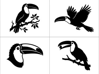 Fototapeta premium Collection of four black and white toucan silhouettes, depicting the tropical bird perched on branches, in flight, and a detailed headshot, showcasing their distinctive large beaks.