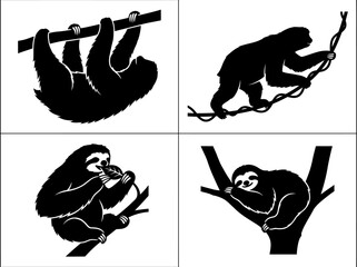 Fototapeta premium Four black silhouette illustrations of sloths in various natural poses, including hanging, climbing, eating, and sleeping in trees.