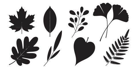 Various leaf silhouette collection featuring oak ginkgo and fern shapes on transparent background. © Sumon