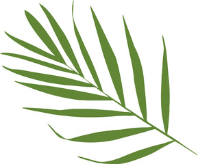 Fototapeta premium Green Fern Leaf Illustration for Nature and Ecology Design