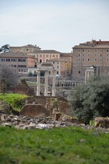 Fototapeta premium Roman Forum Ruins with Historic Rome Cityscape