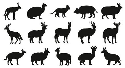 Collection of various animal silhouettes in black and white. © barokah