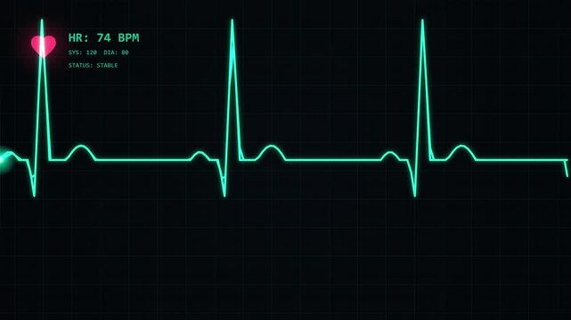 Digital Heart Rate Monitor Displaying Stable Vital Signs on Screen