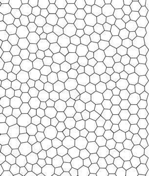 Geometric Voronoi Tessellation Pattern, Abstract Black and White Hexagonal Mesh Background