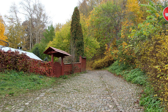 house in autumn forest