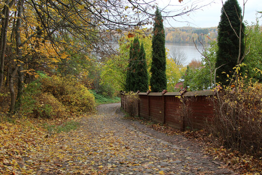 autumn in the park