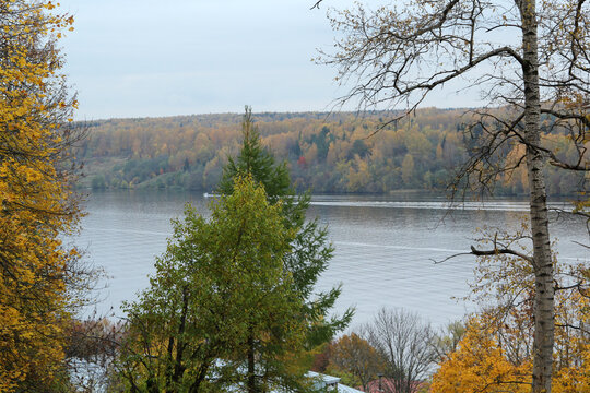 autumn in the forest