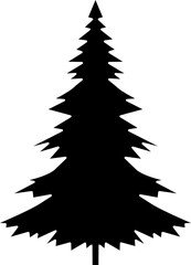 Fototapeta premium Evergreen Pine Tree Silhouette for Nature Outdoor and Forest Landscape Design