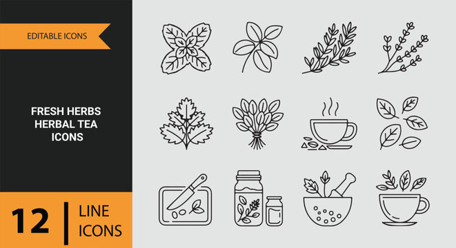 Fresh Herbs Herbal Tea Outline Icons Collection For Natural Drinks
