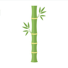 Obraz premium Sturdy Segmented Bamboo Tree Stalk Flora Vector