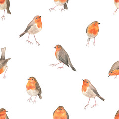 Fototapeta premium Seamless pattern of robins in different poses white