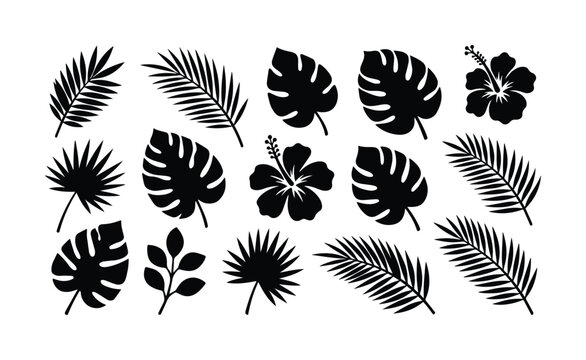 Tropical leaf silhouettes and hibiscus flower icons, black botanical vector set of 14 elements, monstera and palm frond foliage for summer design