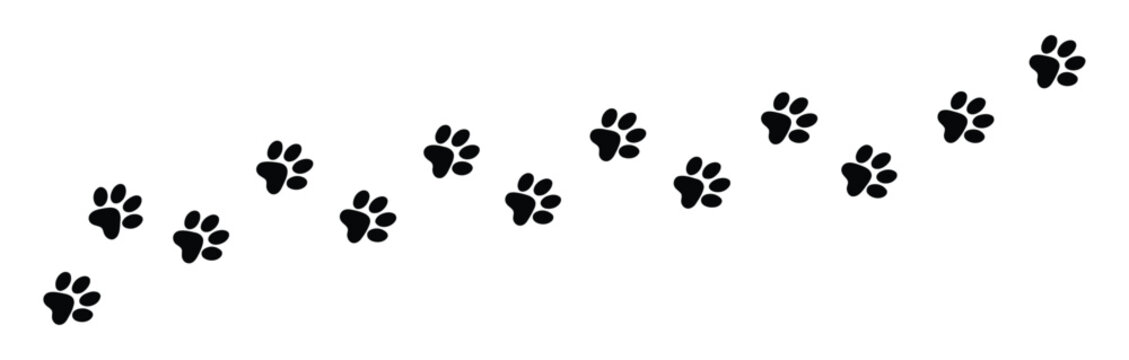 Paw print foot trail vector set featuring dog and cat paw prints for pet tracking and animal path illustration design
