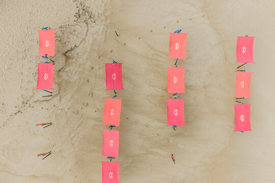 Aerial view of pink sunshades arranged in rows on the sandy beach at Praia de Sao Pedro de Moel in Marinha Grande, Leiria, Portugal.