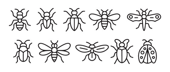 Collection of simple line art insect icons. including ant, beetle, bee, moth, and ladybug. © Safali