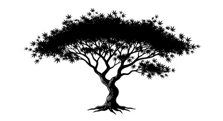 Silhouette of a majestic, gnarled tree with many leaves against a white background © Ulfi