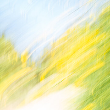 Dynamic abstract nature background with yellow flowers and motion blur