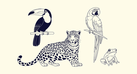 Obraz premium Set of hand drawn exotic tropical rainforest animals jaguar toucan macaw and tree frog line art