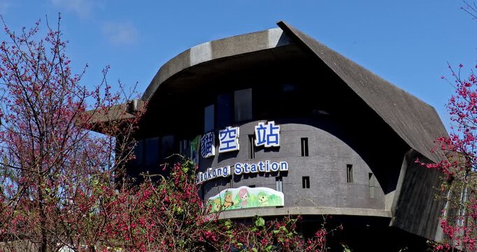The beautiful spring scenery of Taipei Maokong Gondola Station and Taiwan cherry blossoms under a blue sky.