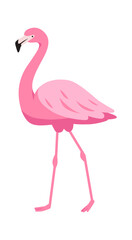 Fototapeta premium Flamingo Standing Side View Cartoon
