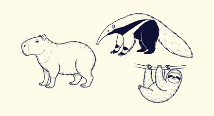 Obraz premium Vector illustration of South American wildlife including a cute sloth, giant anteater and capybara.