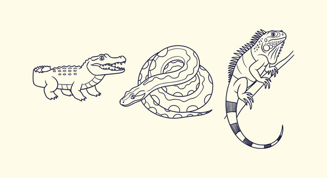 Set of Minimalist Reptile Line Art Illustrations with Crocodile Snake and Iguana Vector Graphics