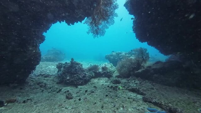 View from underwater cave opening into tropical sea. Wide shot of coral formations and reef fish beneath rocky arch in clear blue ocean water.