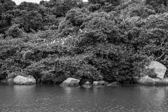 canal para o mar com pedras e &aacute;rvores