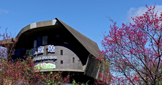 The beautiful spring scenery of Taipei Maokong Gondola Station and Taiwan cherry blossoms under a blue sky.