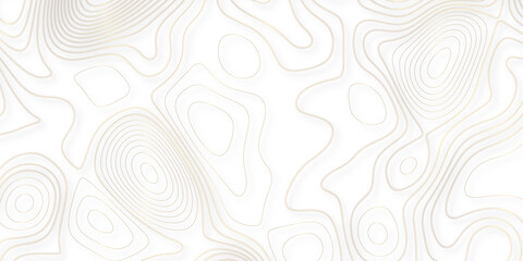 Abstract white golden gradient Topographic line map background. Contour elevation topographic and textured Background Modern design with White background with topographic wavy pate for decoration.  © Kainat 