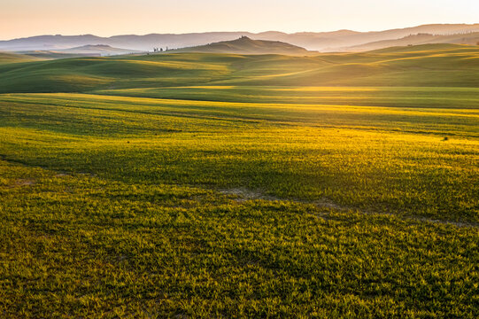 Rolling green hills and fields of the Tuscany landscape bathed in golden light, offering a tranquil nature and tourism destination in Orcia valley, Pienza, Italy.