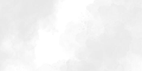 Obraz premium Soft Gray Watercolor Background with Subtle Cloudy Texture, Gentle White Paper Wash, and Minimal Neutral Canvas for Elegant Modern Graphic and Artistic Use.