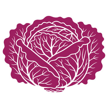 Illustration of a vibrant purple cabbage isolated on a white background perfect for healthy eating themes
