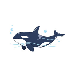 Fototapeta premium A stylized orca vector illustration swimming gracefully in blue water with gentle waves and bubbles, representing marine life and ocean themes