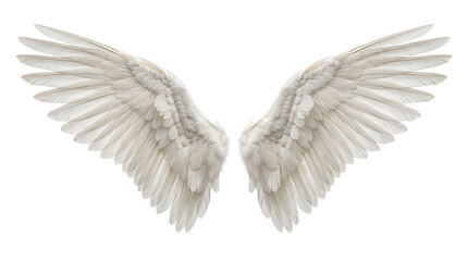 Fototapeta premium White angel wings with soft feather details