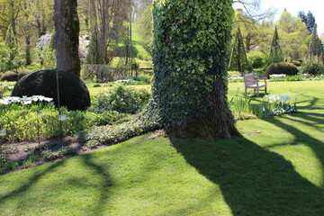 Ombres des troncs d'arbres sur la verdure dans le parc floral d'Apremont-sur-Allier © Christophe Rubin
