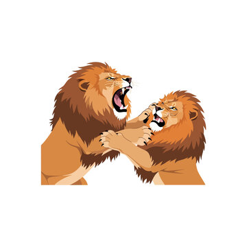 Dynamic illustration of two powerful male lions engaged in an intense battle, showcasing their raw strength and predatory instinct in the wild