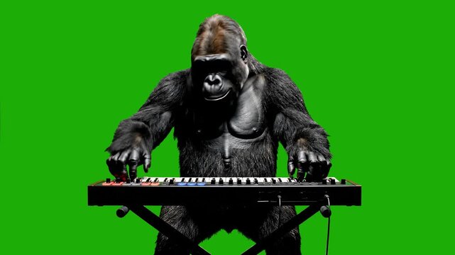 A muscular, photorealistic gorilla wearing a formal tuxedo jacket plays an electronic musical keyboard with intensely focused expressions. The background is a solid green screen, ready for custom back