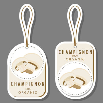 Set sweet tasty natural eco product mushroom champignon