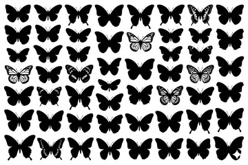 Fototapeta premium Silhouette collection of diverse butterflies in rows featuring various wing patterns.