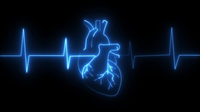Glowing heart cardiogram line. Electrocardiogram show heart beat line Heart health, cardiology, cardiovascular disease concept heartbeat display screen medical research show sign colorful 4k video