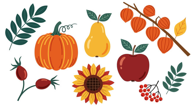 Autumn harvest, fall fruits, vegetables, icons, 8 elements, vector illustrations