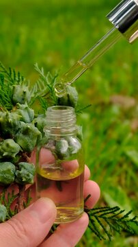 Thuja essential oil and supplements. Selective focus.