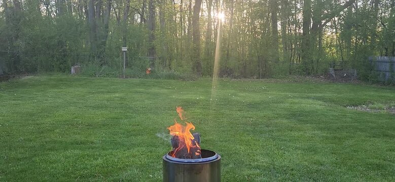 campfire in the forest