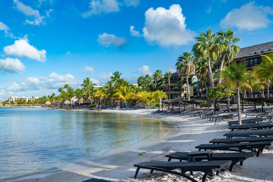 Mambo Beach in Cura&ccedil;ao offers a perfect scene of a Caribbean resort, with numerous lounge chairs and palapas on white sand, under palm trees, facing clear turquoise water.