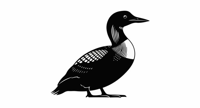 A black and white graphic illustration of a loon standing with its head turned