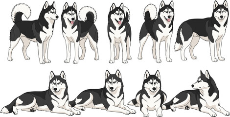 Husky Dog Icon Set Featuring Various Poses and Expressions for Animal, Pet, and Dog Graphics © Maslima